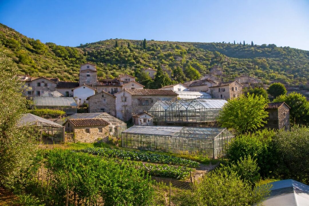 scopri san pietro di carida, il suggestivo borgo delle serre situato al confine con laureana, un luogo ricco di storia e tradizione da esplorare.